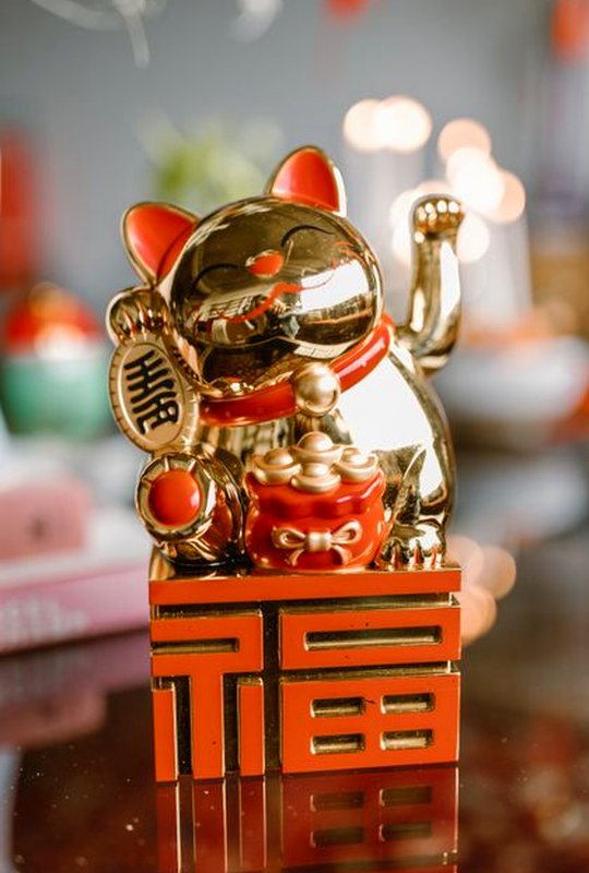 phản hồi 8Day